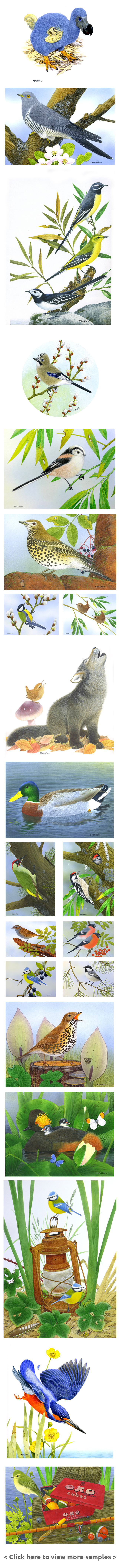 birds maurice pledger